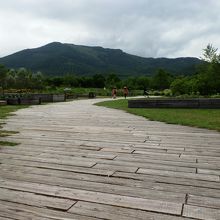 素敵な木道がある、十勝千年の森。