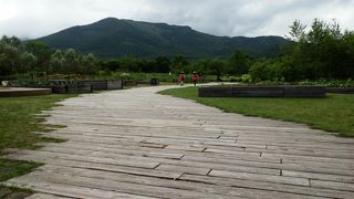 北海道ガーデン街道を行く、十勝千年の森?