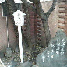 案内板が木に阻まれているのが変な感じです。