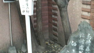 文豪の母校の入口付近に建つ記念碑