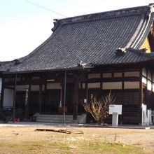 圓福寺で撮影