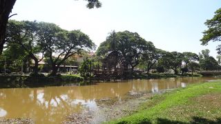 夕涼みにもってこい