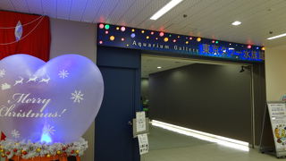 クリスマスのデコレーションが。