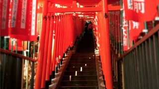 都会の中にある私の癒し場所