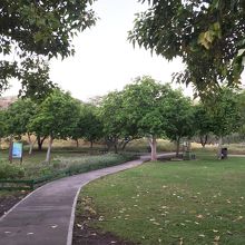 最初は舗装道。かなり緩やかな道です。