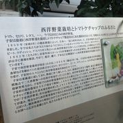 西洋野菜やケチャップの歴史はここで始まりました。