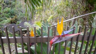 不思議な雰囲気な温泉