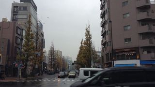 銀杏並木がよいです