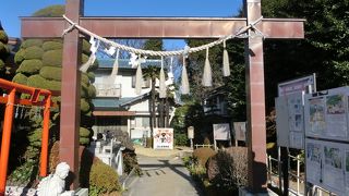 規模は小さいですが、気さくな宮司さんの奥さんに会えるかも?  拝殿内の木彫りは必見の価値あり!!