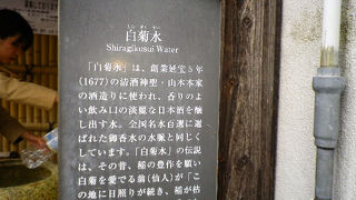 やっぱり水がおいしい！