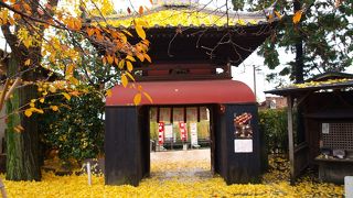 公孫樹の葉でいっぱいでした。