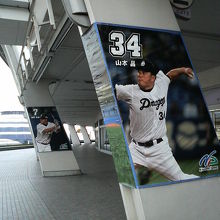 建物の柱にはドラゴンズ選手の活躍する姿が。山本昌。