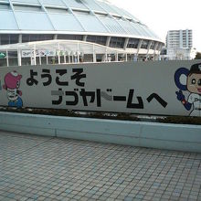 もちろんドアラもいます。