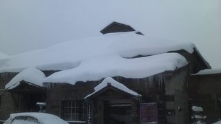 こちらもお見逃しなく！