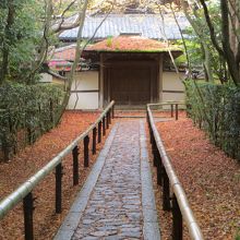 物悲しい雰囲気。