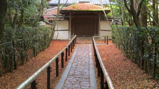 晩秋の高桐院。