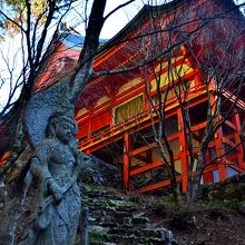 よかわ　レッド