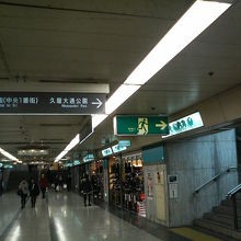 道の両側の照明には名前の通り森の木々が描かれていました。