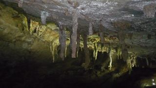 傘と言うより鍾乳石のつららという感じです