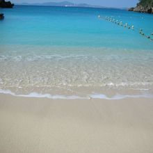 白と青のコントラストが綺麗