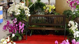 美ら海とセットで