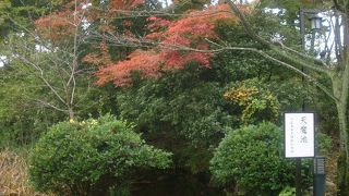足羽山にある博物館
