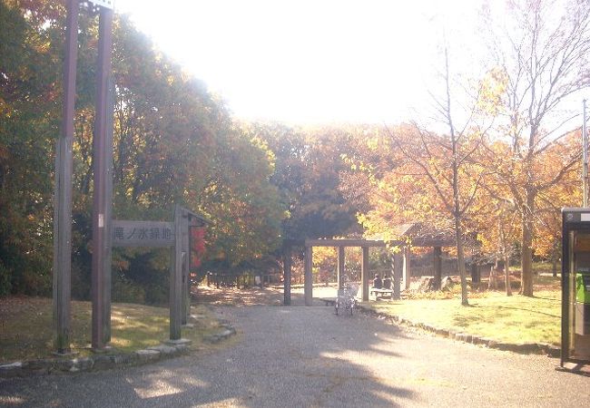 都会の中の湿地帯