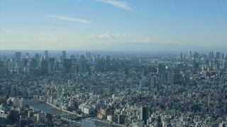 きれいな富士山が見れました