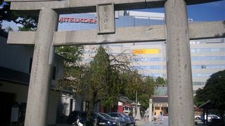 西鉄福岡駅のすぐ裏手