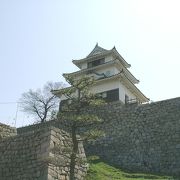 山城とすれば日本でも有数の美しさを保っているお城です