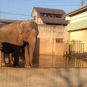 街中にある動物園です