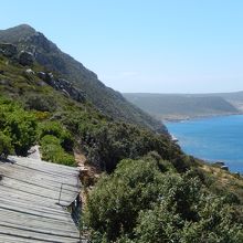 下山する時に利用した散策路