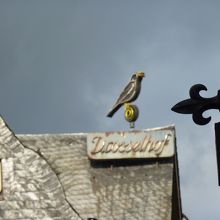 路地から見えた屋上に飾られた鳥の姿