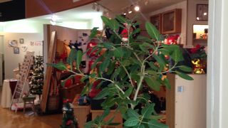 倉敷帆布のカバンが可愛らしいです!!