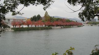 紅葉がきれいでした。