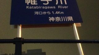 帷子川沿いは夜景スポットでもあります。