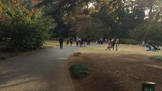 都会の中での自然