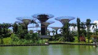 人工樹の上からの眺めもおすすめ