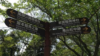 龍馬ファーンに必見です