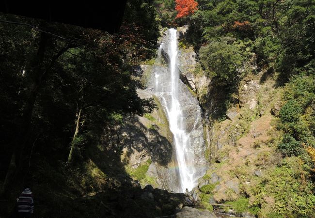 せんだん轟の滝 クチコミ アクセス 営業時間 八代 フォートラベル せんだん轟の滝 クチコミ アクセス 営業時間 八代 フォートラベル