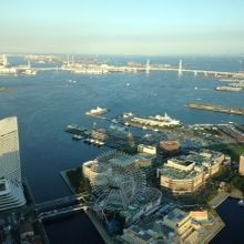 ランドマークタワーから見た景色