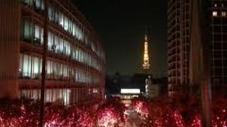 この時期はイルミネーションがとってもキレイ！