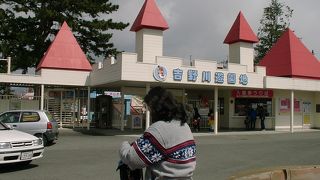 久しぶりに立ち寄った時まるで廃墟という風な感じになっていました