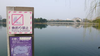 広く開放的な公園です