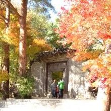 多彩な紅葉と美術館入り口