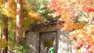 これほど美しい作品は数少ない