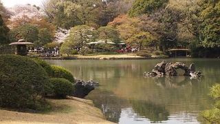 お花見スポット