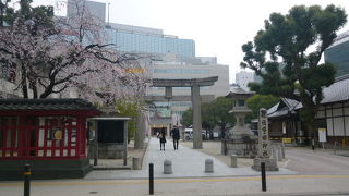 繁華街の中心に素敵な公園があります