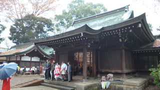 大勢の人で賑わっていました