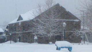 冬場は近づくことも大変です